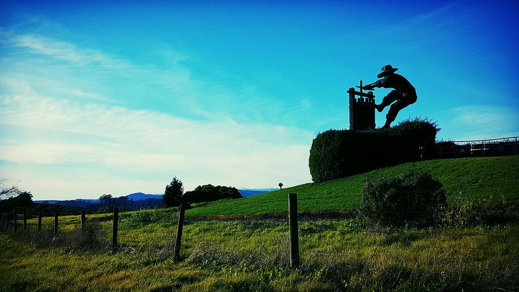 Abode Napa Valley Exteriér fotografie